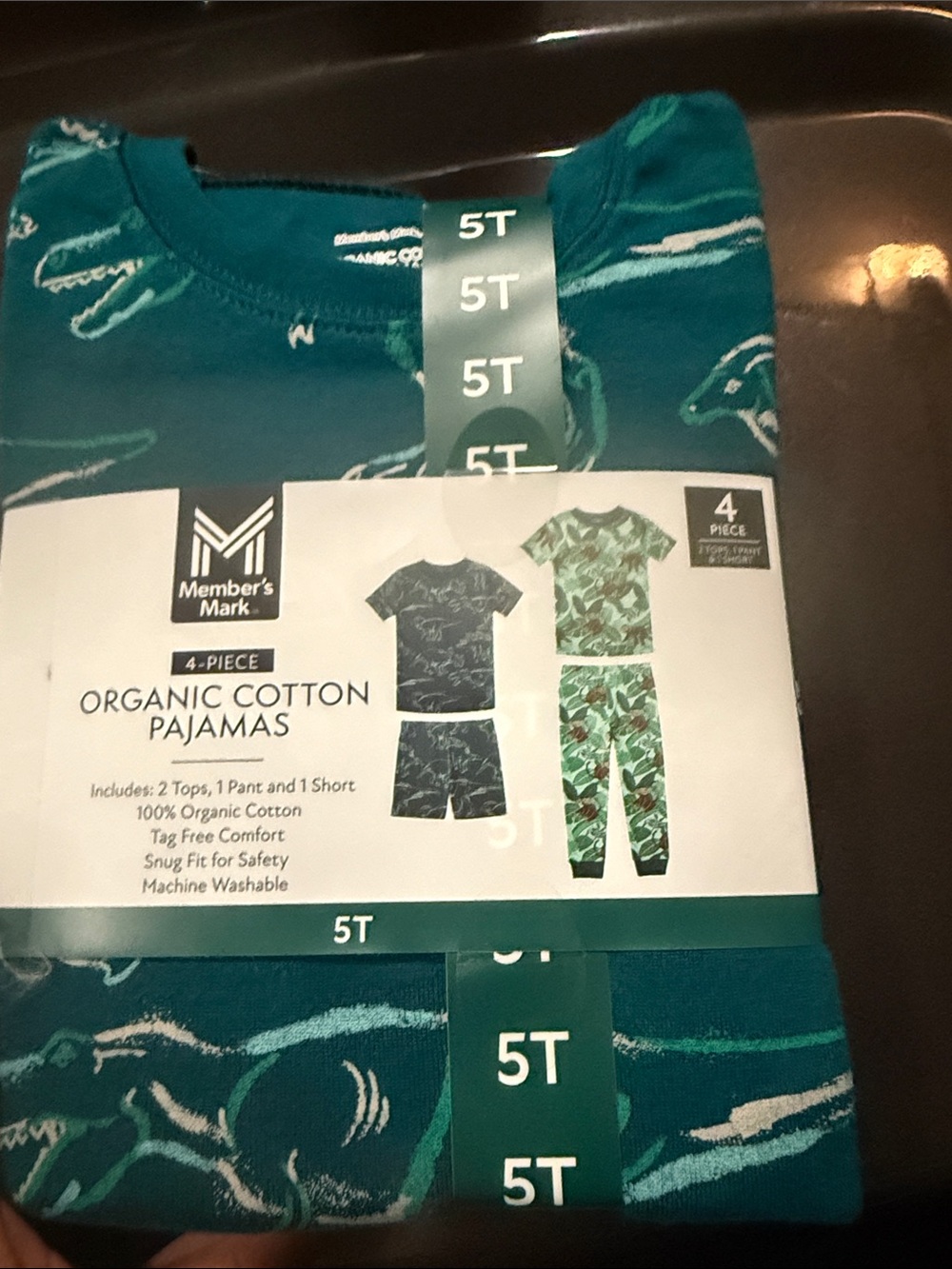 Boys' 4-Piece Organic Cotton Pajama Set - Teal Dinosaur Print (5T)